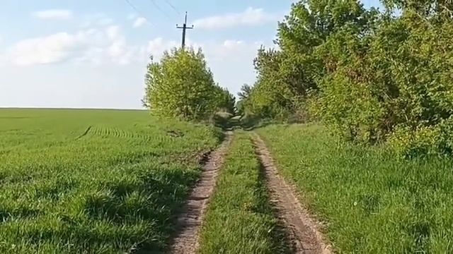 Харьковская область 15 мая 2023 Поход в покинутую деревню! часть 1 смотреть онлайн