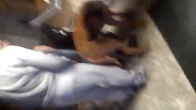 MOV_0666.mp4 смотреть онлайн