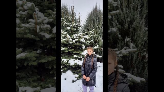 (◍•ᴗ•◍)❤ смотреть онлайн