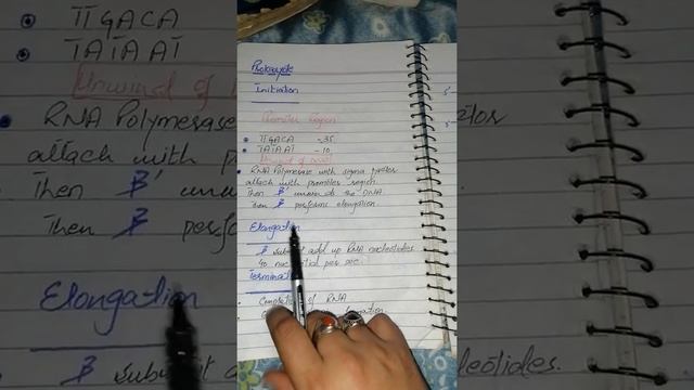 Transcription. Central dogma. Transcription by talha khan. Central dogma by talha khan смотреть онлайн
