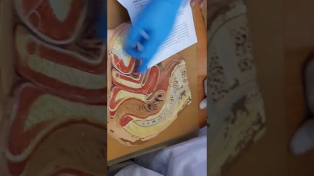 20170424 141122 смотреть онлайн