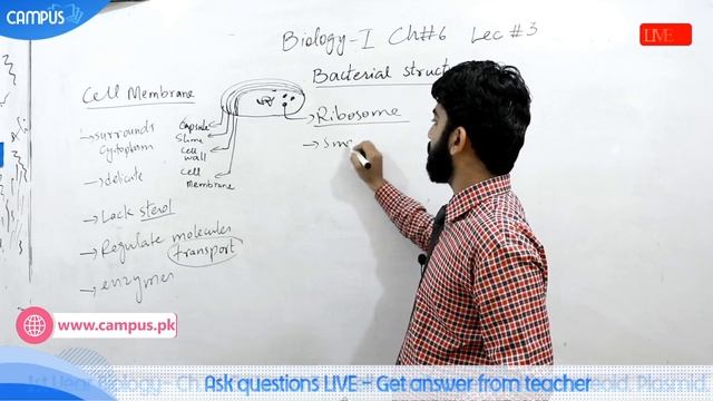 11th Biology Live Lecture 3 Ch. 6 Cell membrane, Matrix, Nucleoid, Plasmid, Granule, Spore, CYST смотреть онлайн