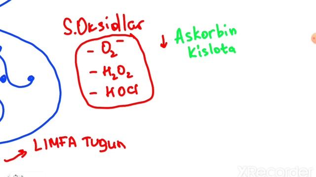 YALLIGʻLANISH | 2-qism | #imed #imedteam #yallig'lanish #patfiz #patologiya смотреть онлайн