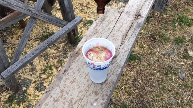 8 мая 2017 г. смотреть онлайн