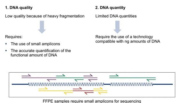 NGS from FFPE samples смотреть онлайн