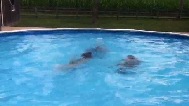 Esther Williams has nothing on these kids смотреть онлайн