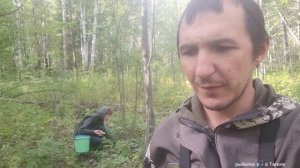 Собрали Грибов и отдали многодетной семье и бабушке