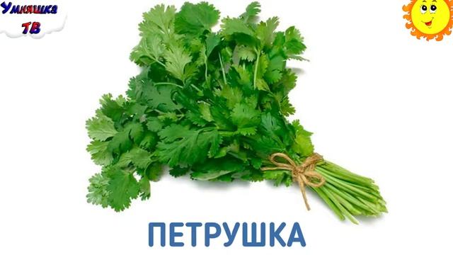 Развивающие мультики для детей от 2 3 лет  Мультфильм #2 учим слова Обучающее видео для детей