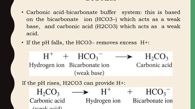 Acid Base Balance physiology ! pharma tutorial смотреть онлайн