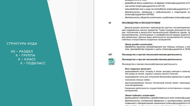 ОКЭД за 5 минут. Почему белорусским ИП важно знать свой точный код? смотреть онлайн