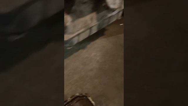 Эмульсия в двигателе и последствия. смотреть онлайн