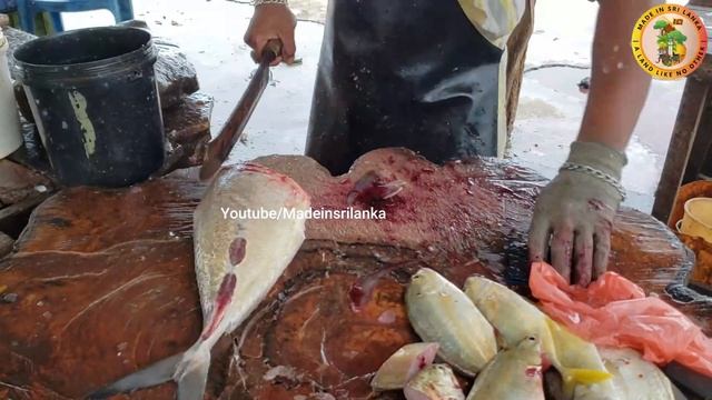 TREVALLY FISH CUTTING BY RAVI смотреть онлайн