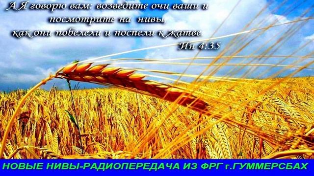 Novye nivy_R09 050 - Радиопередача из ФРГ г.Гуммерсбах смотреть онлайн