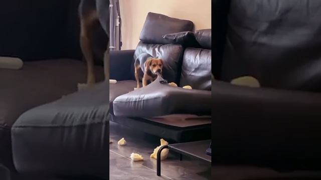 Сумасшедшая подборка 🤯🤯🤯 смотреть онлайн