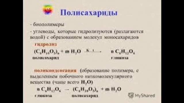 биополимеры смотреть онлайн
