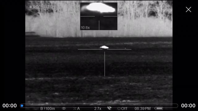 Pulsar thermal coyote hunting смотреть онлайн