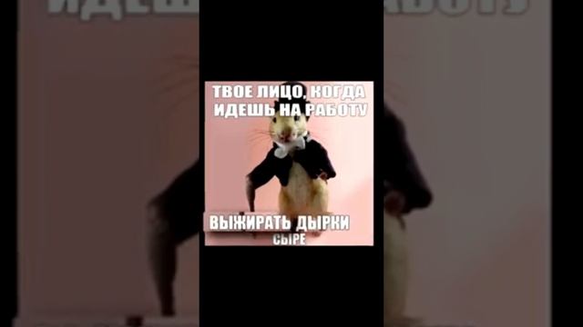 АКТУАЛЬНЫЙ ИНЕТРЕТ ФАЙЛ.mp4