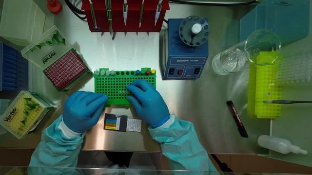 PHENOTYPE EXPERT - инструкция по работе с набором