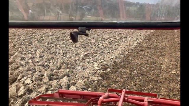 MTZ 82 i agregat przedsiewny 3m смотреть онлайн