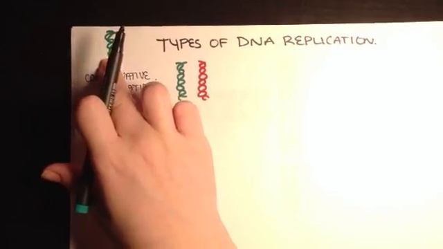 Types Of DNA Replication