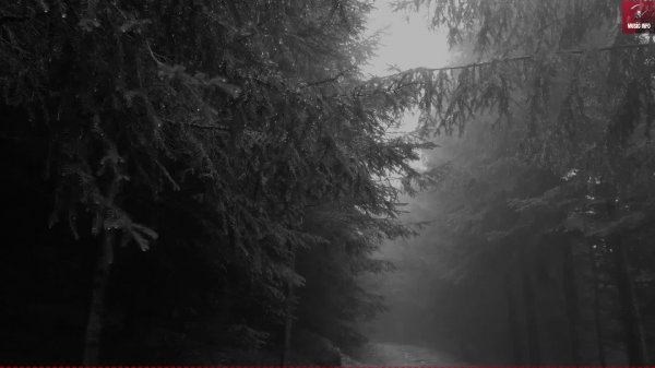 Music Info News 14.11.2024 2