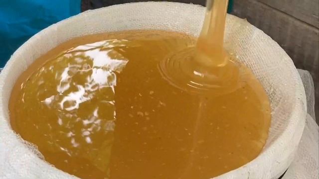 Как я провела лето в год пандемии смотреть онлайн