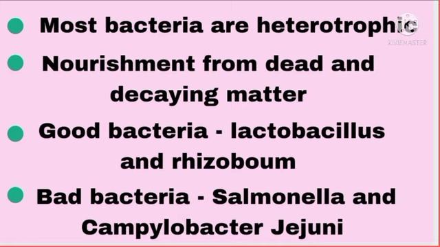 class 8 science chapter 2 microorganisms | part 2 | bacteria смотреть онлайн