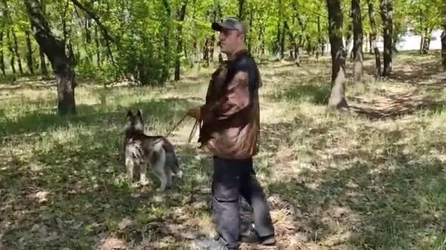 Работа в социуме смотреть онлайн