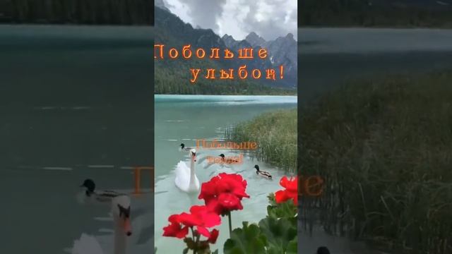 #доброеутро #счастьеесть #добра #открытки смотреть онлайн