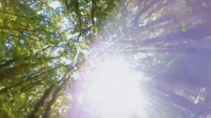 Человек и КАБАН стали лучшими друзьями! Удивительная история...