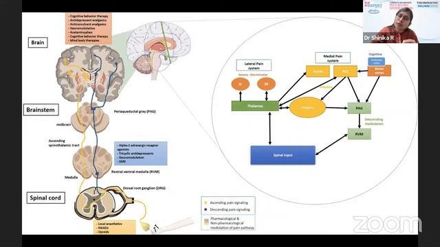 Naruvi Hospital And The Hindu Present A Webinar on 'Pain Is Inevitable Suffering Is Optional' смотреть онлайн