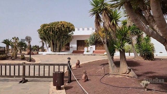 Канары. Остров Fuerteventura за 1 ДЕНЬ. Махореры, козы и мантии короля. смотреть онлайн