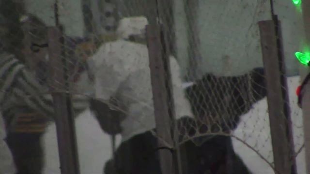 Selena Gomez Watches As Justin Bieber Hits The Ice смотреть онлайн