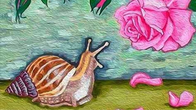 Улитка и роза