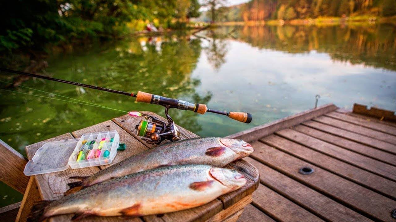 За Трофейной Плотвой смотреть онлайн