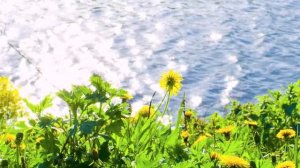 BabyRiki | Best episodes about Constructions | Cartoons for Kids | 0+