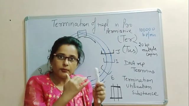 TERMINATION OF REPLICATION IN PROKARYOTES (4) смотреть онлайн