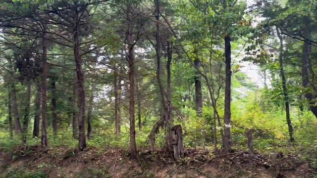 День |4| Американцы никого не оставят голодными. Дали целый пакет … смотреть онлайн