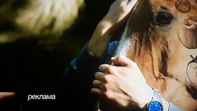 Заставки первого канала осень 30 октября 2018 смотреть онлайн