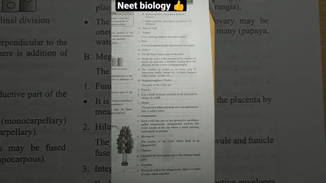 ❤️Sexual Reproduction In Flowering Plant #notes #biology #neet#mbbs#shorts👍🌚💫🤩