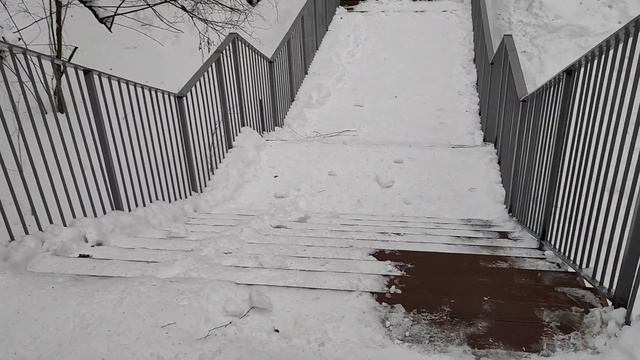 Эко тропа зимой смотреть онлайн
