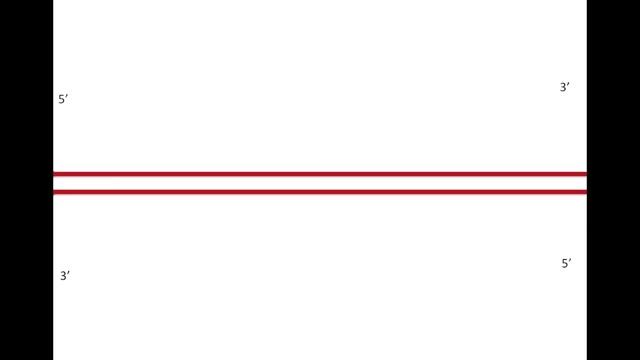 DNA replication смотреть онлайн