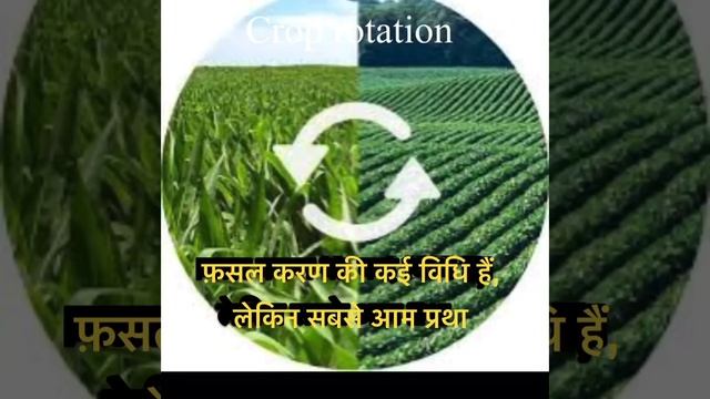 crop rotation - hindi смотреть онлайн