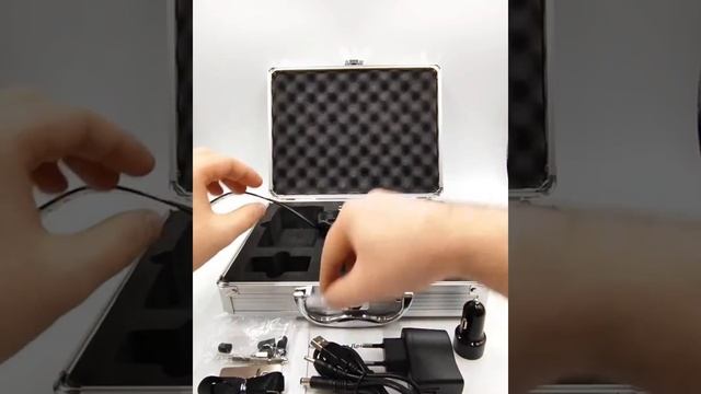 Профессиональный электронный ошейник для дрессировки и охоты DT4200