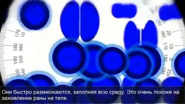 Jeunesse Global Факторы роста смотреть онлайн