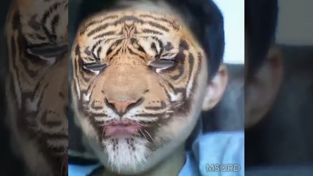 КОТОНЯШ смотреть онлайн