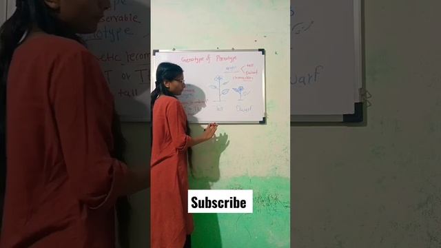 Genotype And Phenotype 👩🏻🏫