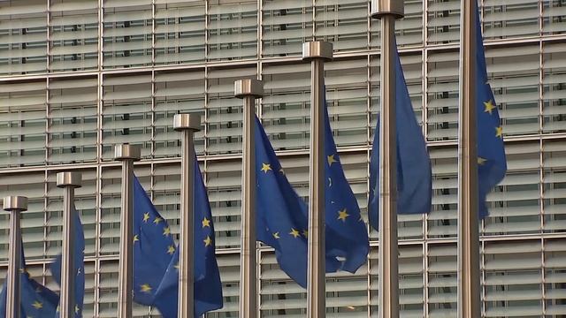 Одлучен молк на државниот врв за францускиот предлог смотреть онлайн