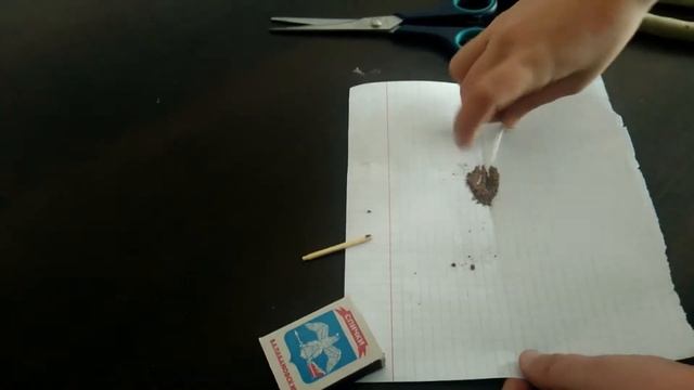 Фтиль из серы смотреть онлайн