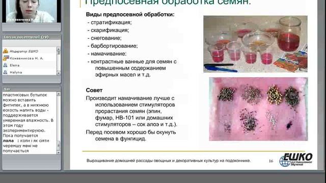 Выращивание домашней рассады овощных и декоративных культур на подоконнике. Использование... смотреть онлайн